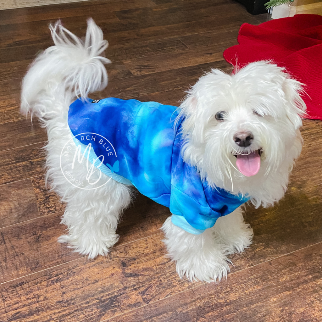 OCEAN Pup Hoodie